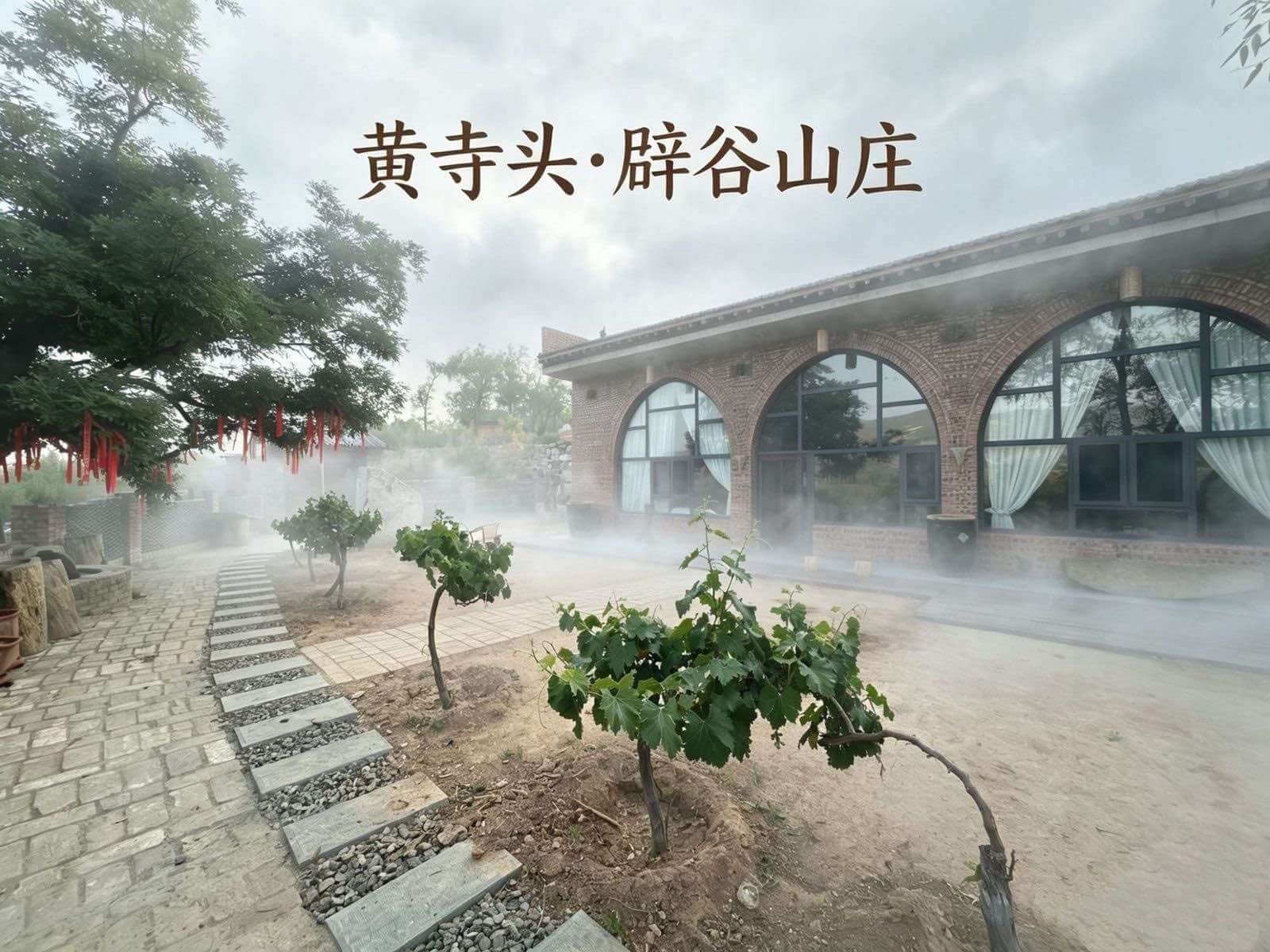 晨雾观景庭院